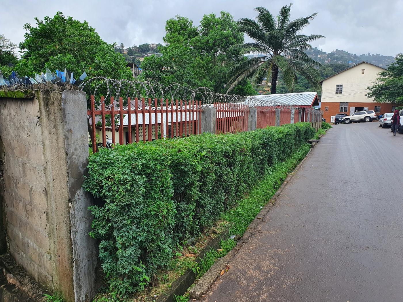 Tree-lined entrance to the Council premises in Freetown